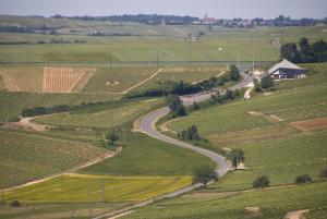 Sancerre vineyards (1)